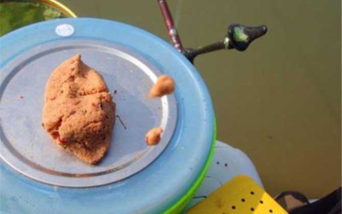 正钓后多久适合去黑坑偷驴？