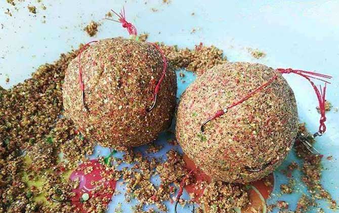 用爆炸钩怎么钓鲤鱼？