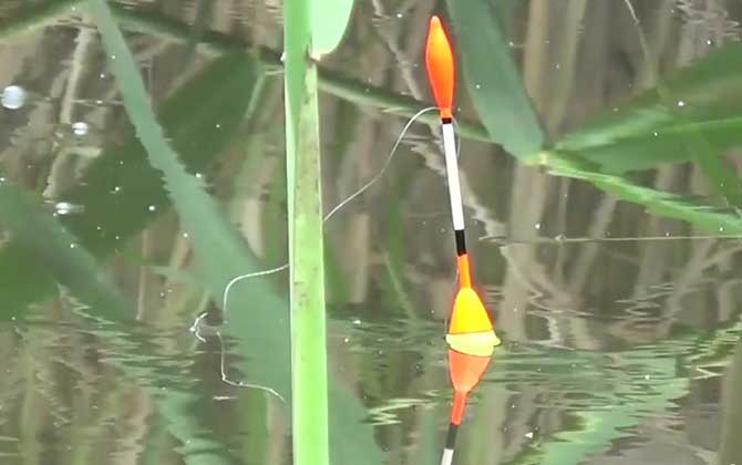 秋季钓鱼的技巧和方法